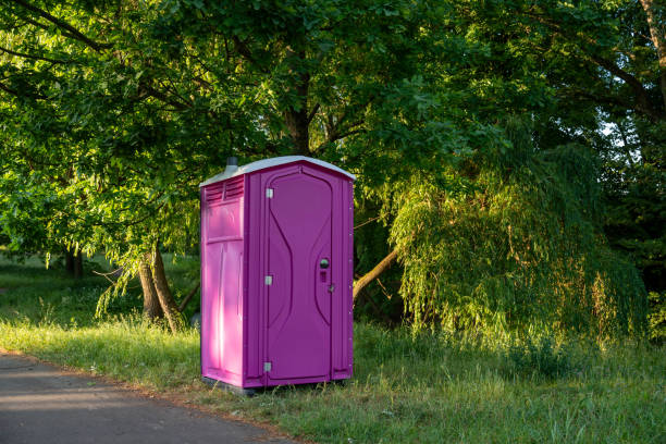 Best Porta potty services near me  in Dauphin Island, AL